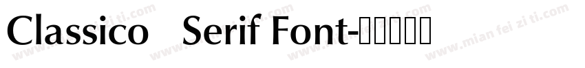 Classico   Serif Font字体转换